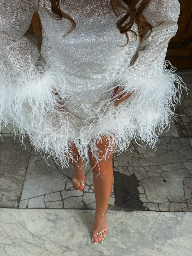 Glamorous Silver Glitter Dress with Ostrich Feather Details